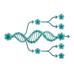 Patient Trajectories